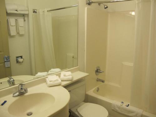 Eagle River Microtel - image 7