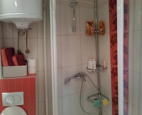 Apartmani Šišava - image 2
