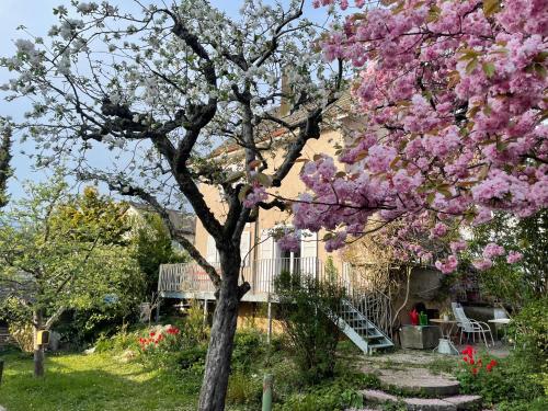 au jardin in Zuchwil, Schweiz