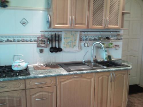 Apartment na Shillera-Amalienau