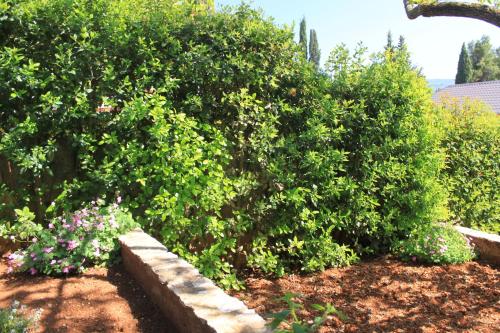 Apartment Vrboska 8748a - image 14
