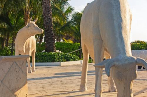 393603454 Kimpton Surfcomber Hotel by IHG