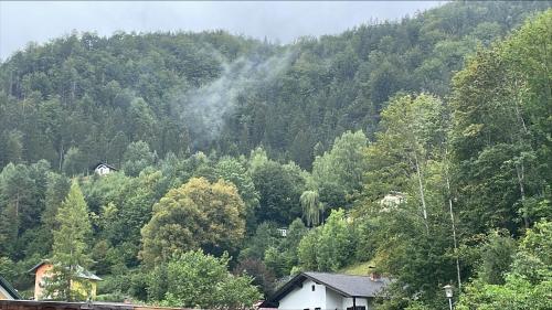 Ferienwohnung in Sankt Aegyd am Neuwalde