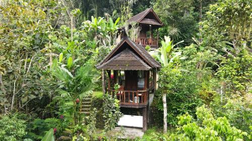 Bali Jungle Resort