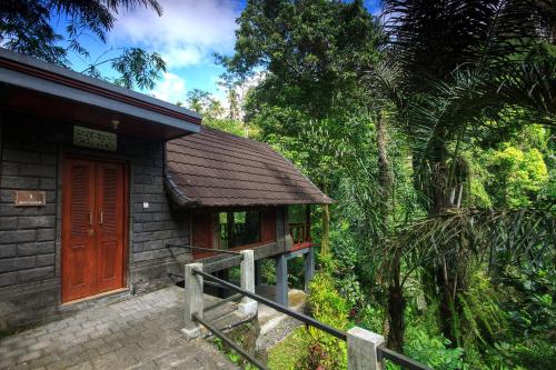 Bali Mula Unik