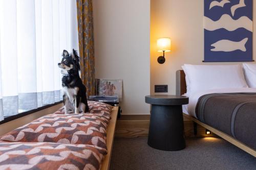Standard King Room image 5