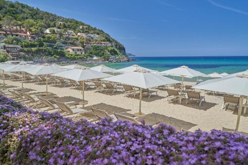 Hotel Hermitage