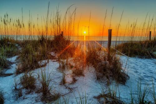 Loggerhead Cay #401