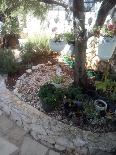  VILLA ANA ZIVOGOSCE-Apartment4 in Živogošće