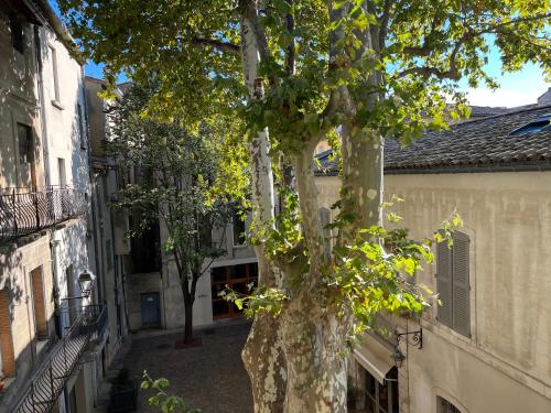 La charmante et le duplex du Palais des Papes