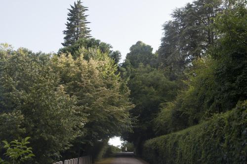 Quinta de Valverde - image 7