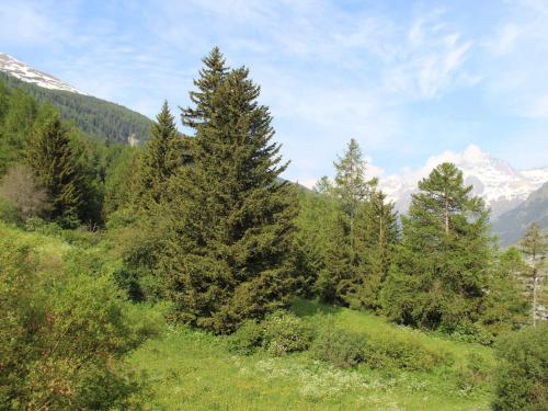 Appartement Lanslebourg-Mont-Cenis 3 pièces 6 personnes - FR-1-508-121 - image 5