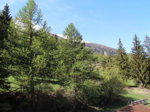 Appartement Lanslebourg-Mont-Cenis 2 pièces 4 personnes - FR-1-508-132 - main image