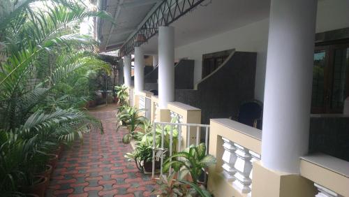 Alba Rooms Palolem Rosebuds Goa