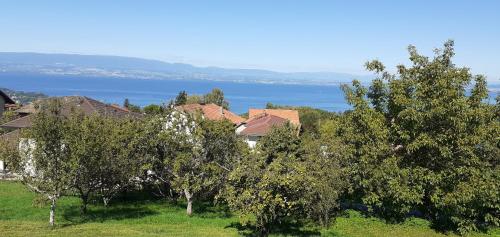 Au coucher du lac - Accommodation - Publier