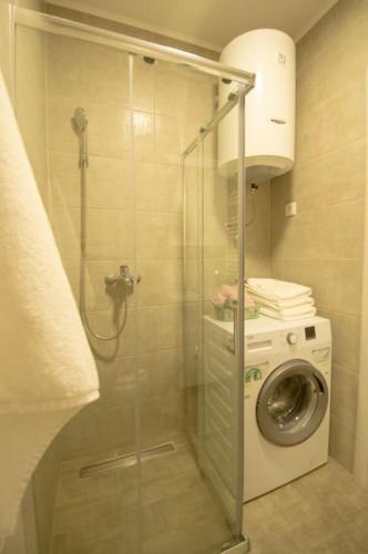 Two-Bedroom Apartment image 9