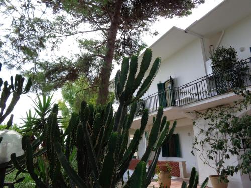 Villa Stasi B&B – Santa Maria di Leuca, OK