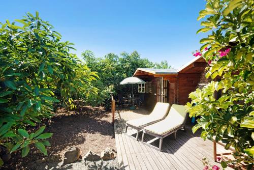  Cottage Hibiscus among Avocados, Pension in La Orotava