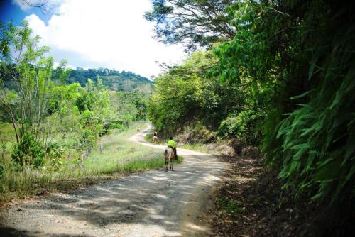 Sabalo Lodge Tours and Cabins