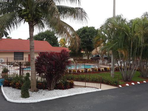 Úszómedence, Super 8 by Wyndham Homestead Florida City Gateway to Keys in Florida City