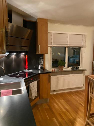 Annies House - Very nice 2 bedroom apt central area