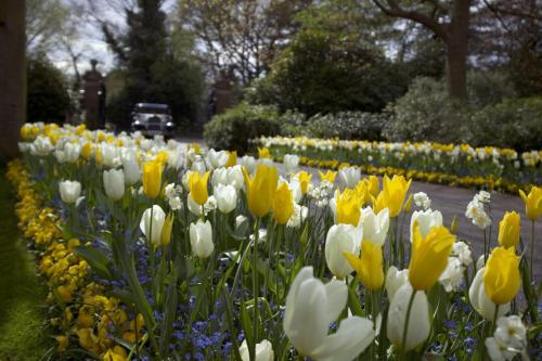 Warren House Hotel, Kingston upon Thames (photo 11)