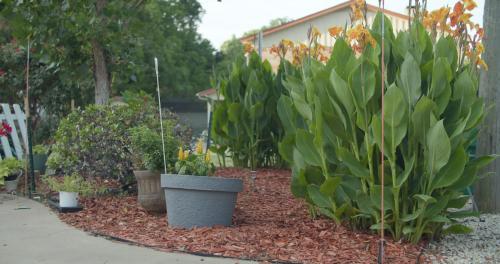 Granbury Gardens Bed and Breakfast - image 6