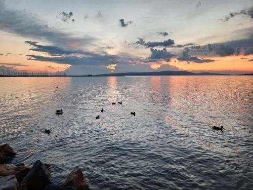 Marica Apartman in Balatonfenyves