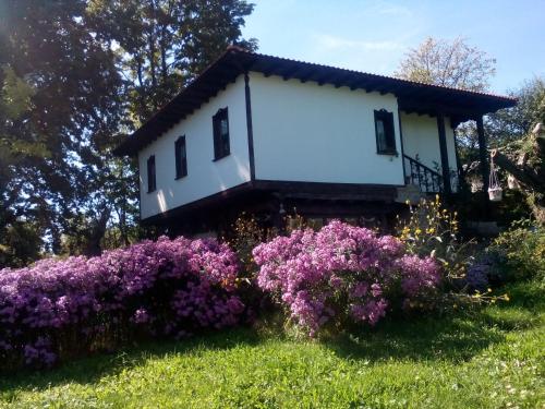 Complex Roden Kray - image 3