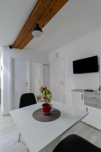 Hill apartman - MAKSIMIR Rebro in 馬克西米爾