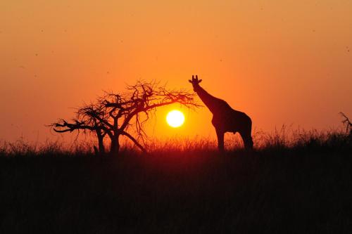 Esiweni Lodge