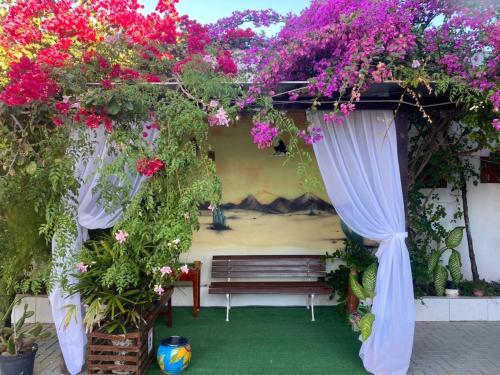 Jardim, Hotel Aeroporto Montese Star in Montese