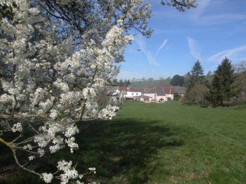 Gîte Attignéville, 5 pièces, 8 personnes - FR-1-589-1