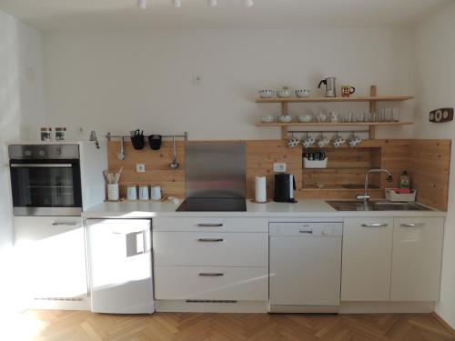 Your Ljubljana Home, Lublaň (fotografie 2)