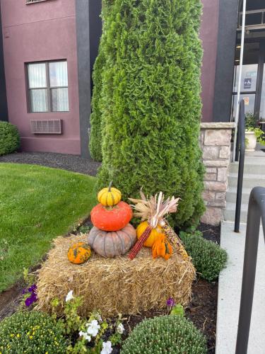 Brinton Suites in West Chester, USA