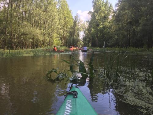  Thelena Apartman in Tolna
