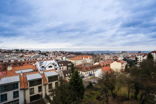 One-Bedroom Apartment with City View
