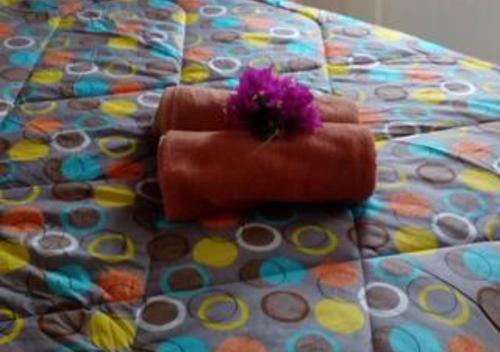 appartement lagon blue Room Type - One-Bedroom Apartment