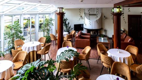Restoran, Hotel Violeta in Druskininkai