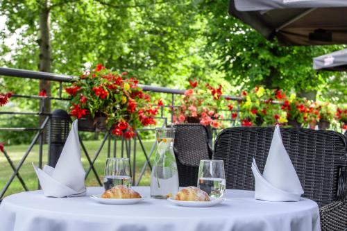 Restoran, Hotel Violeta in Druskininkai