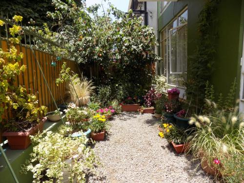 

Quinta Vergara Montaña
