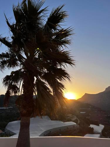 Finca Oliva - Bed & Breakfast - Hotel 4