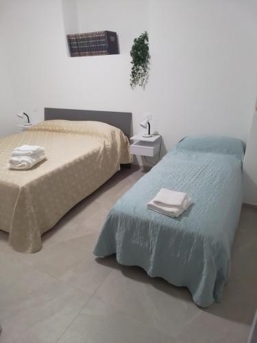  Il salice in Monte San Savino