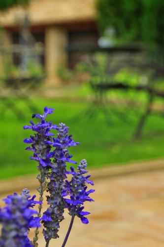 El Convent 1613 hotel & restaurant