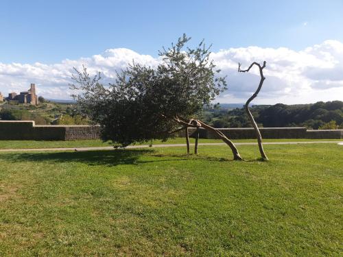  B&B Le Buche Casa Storica in Canino