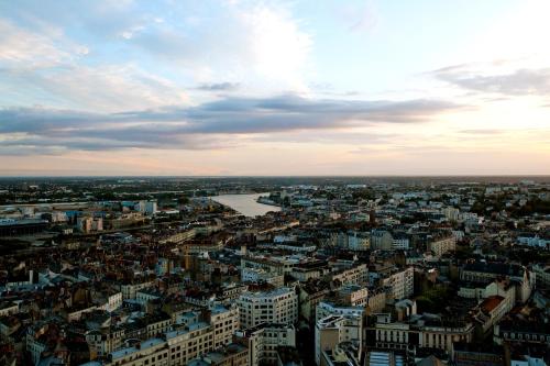 Cerise Nantes La Beaujoire - image 10