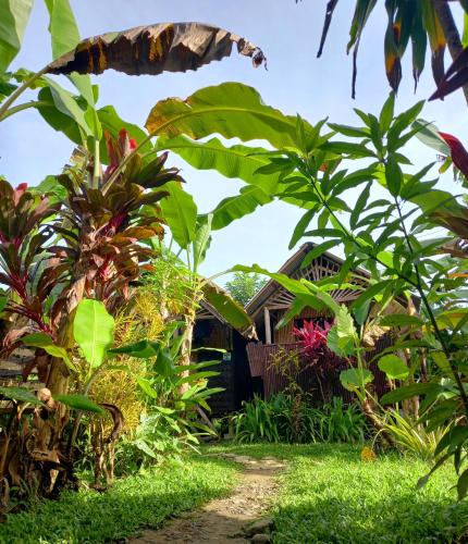 Banana Grove El Nido – El Nido, WI