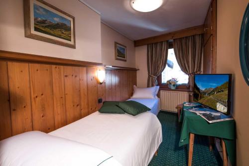 Hotel Alpina - image 8