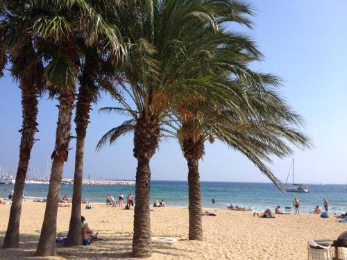Mas Provençal - image 3