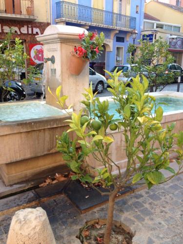 Mas Provençal - image 14
